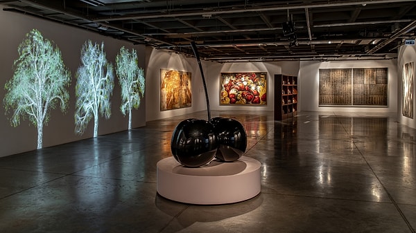 Temel Paket Görseli